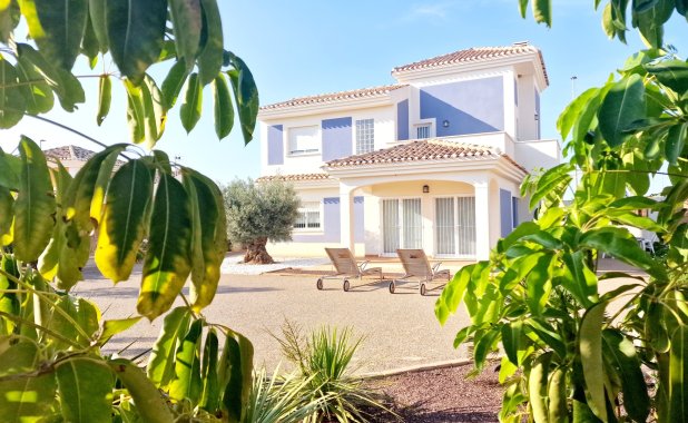 detached - New Build - Purias - Purias