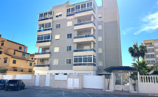 ground-floor - Новое здание - Torrevieja - Torrevieja