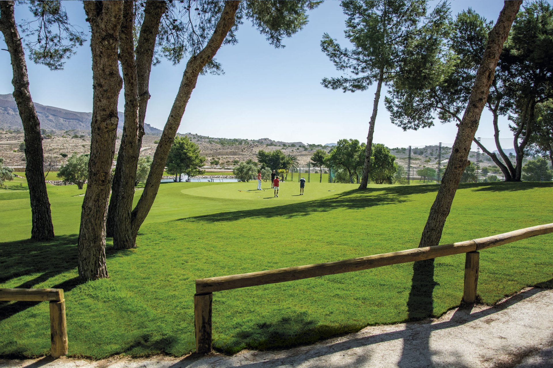 New Build - apartment - Monforte del Cid