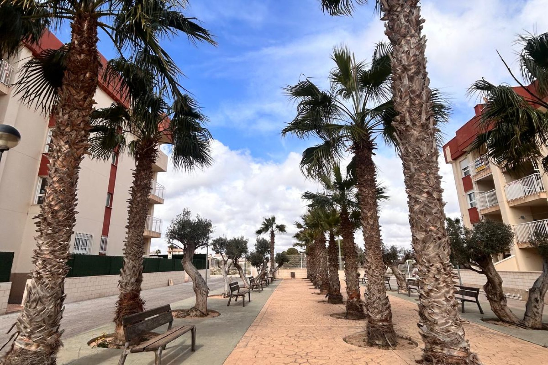 New Build - apartment - Orihuela