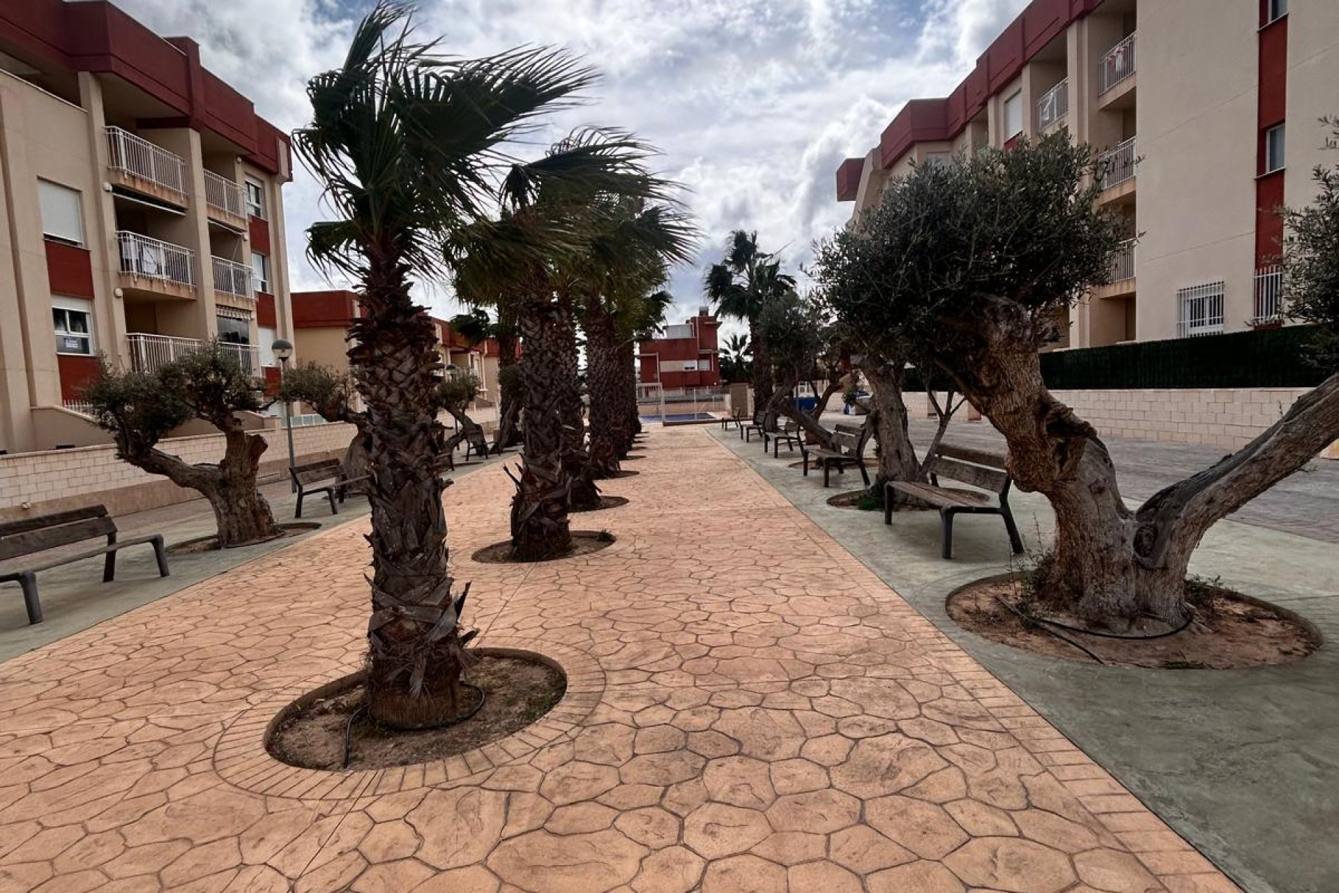 New Build - apartment - Orihuela