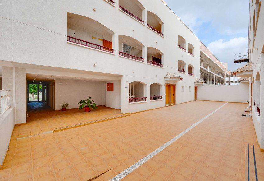 New Build - apartment - San Fulgencio