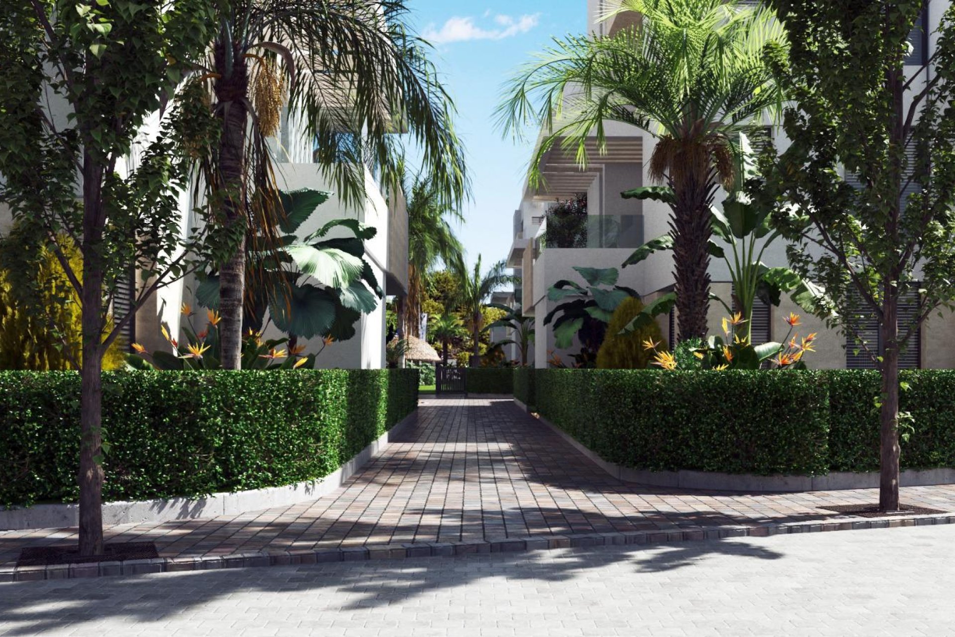 New Build - apartment - Santa Rosalía