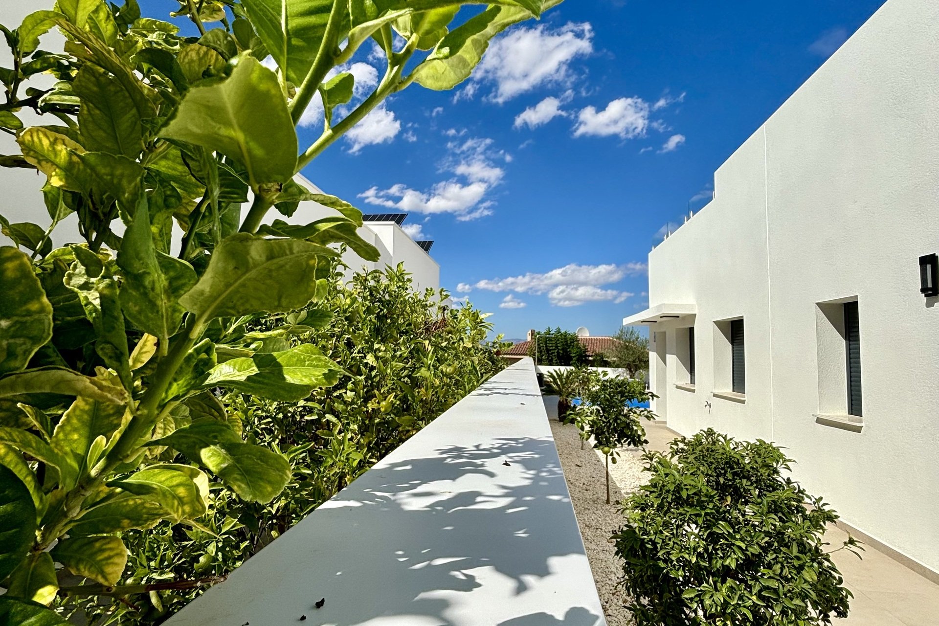 New Build - detached - Benijofar