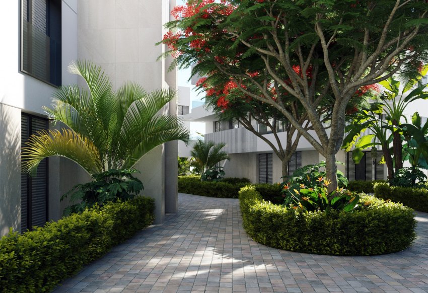 New Build - ground-floor - Torre-Pacheco