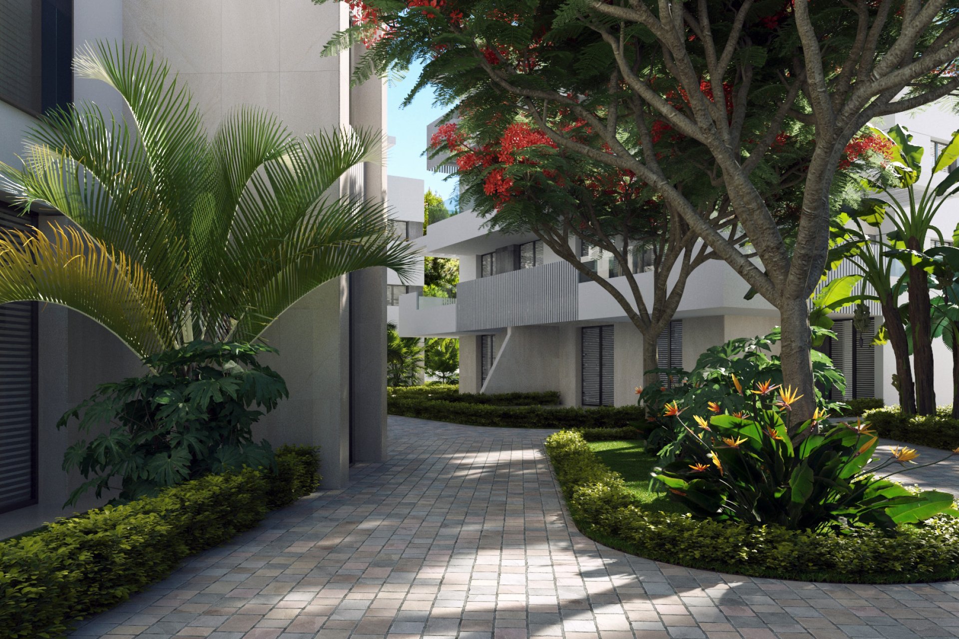 New Build - ground-floor - Torre-Pacheco