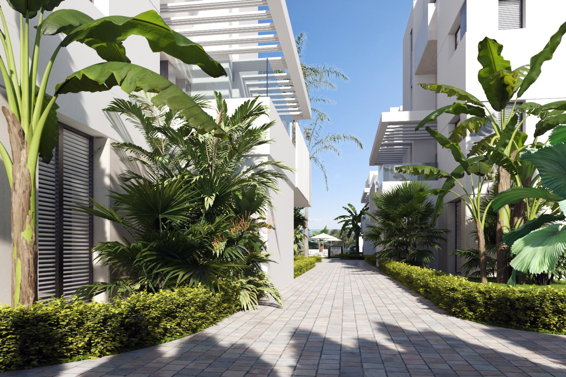Новое здание - apartment - Torre-Pacheco