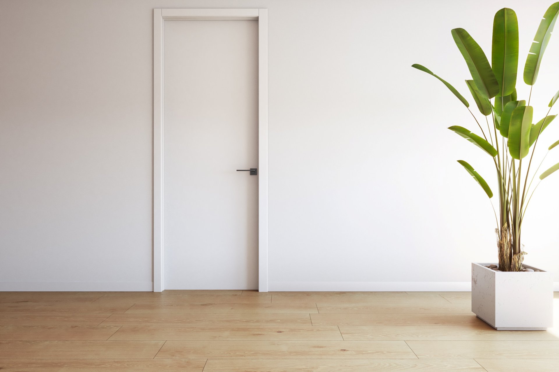 Новое здание - apartment - Torrevieja
