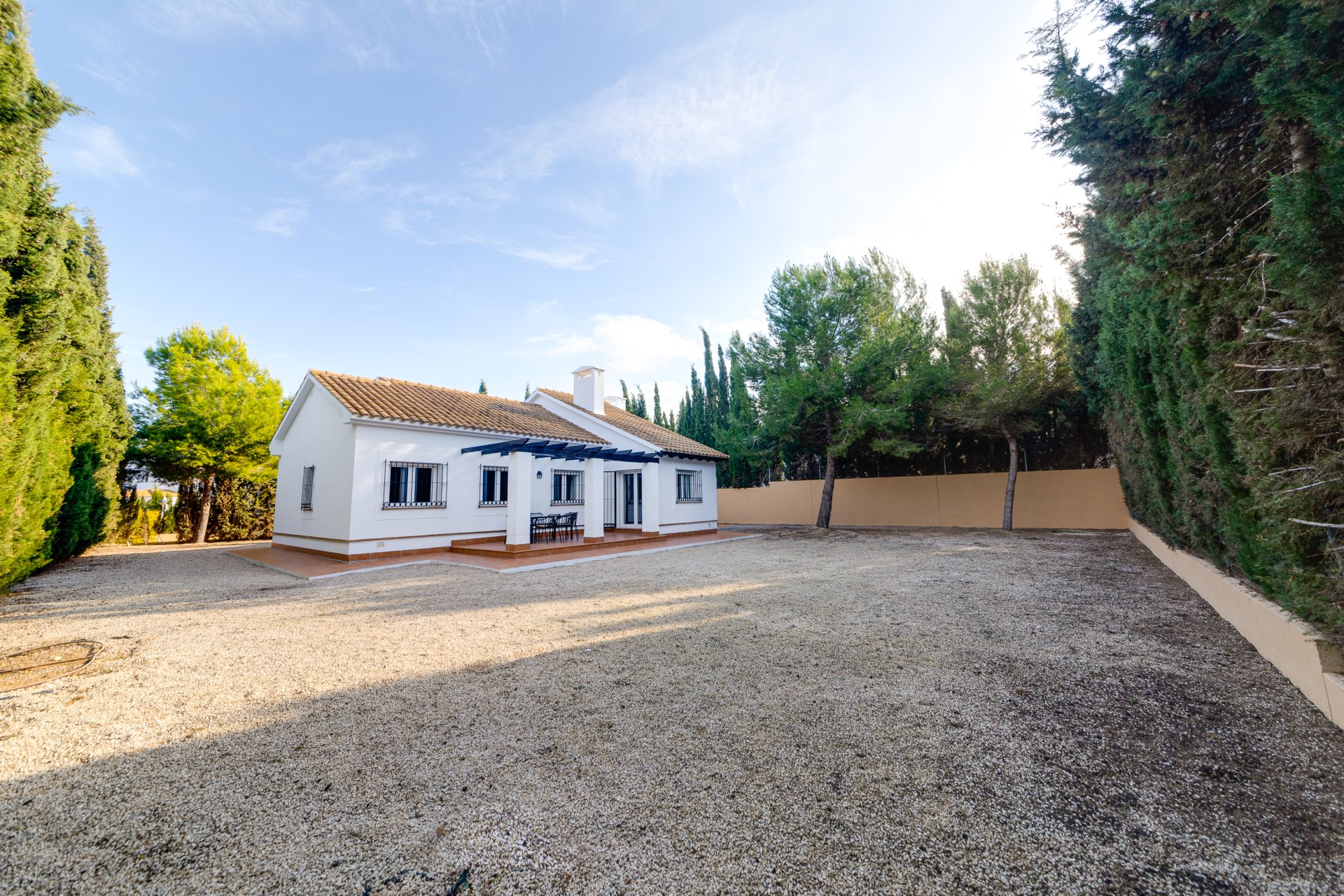 Новое здание - detached - Fuente Alamo