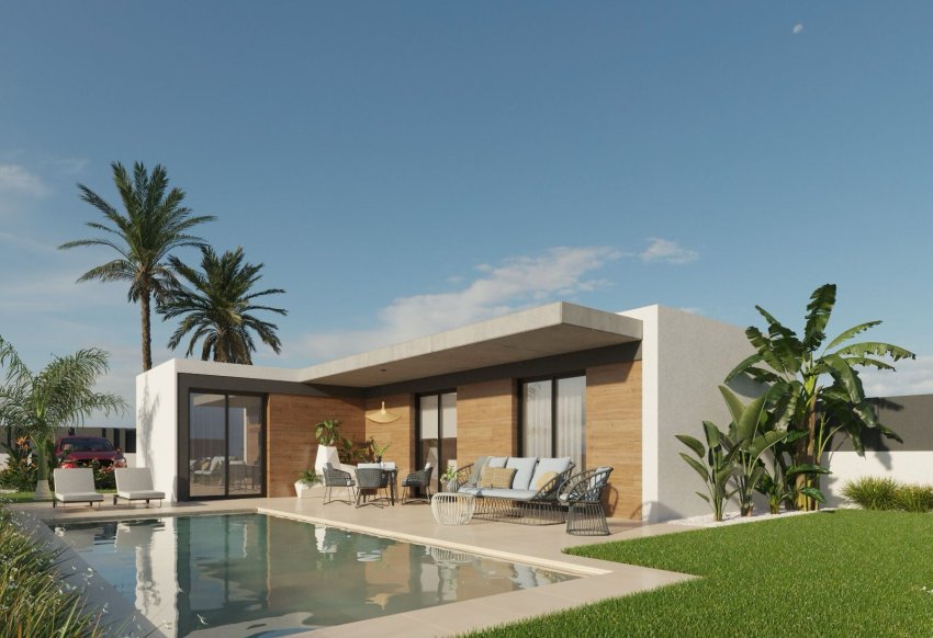 Новое здание - detached - Molina de Segura