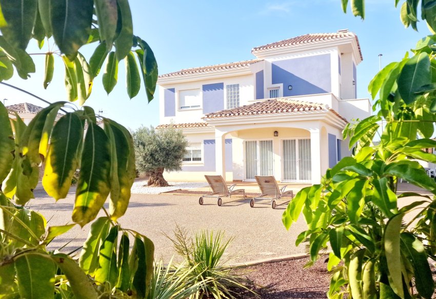 Новое здание - detached - Purias