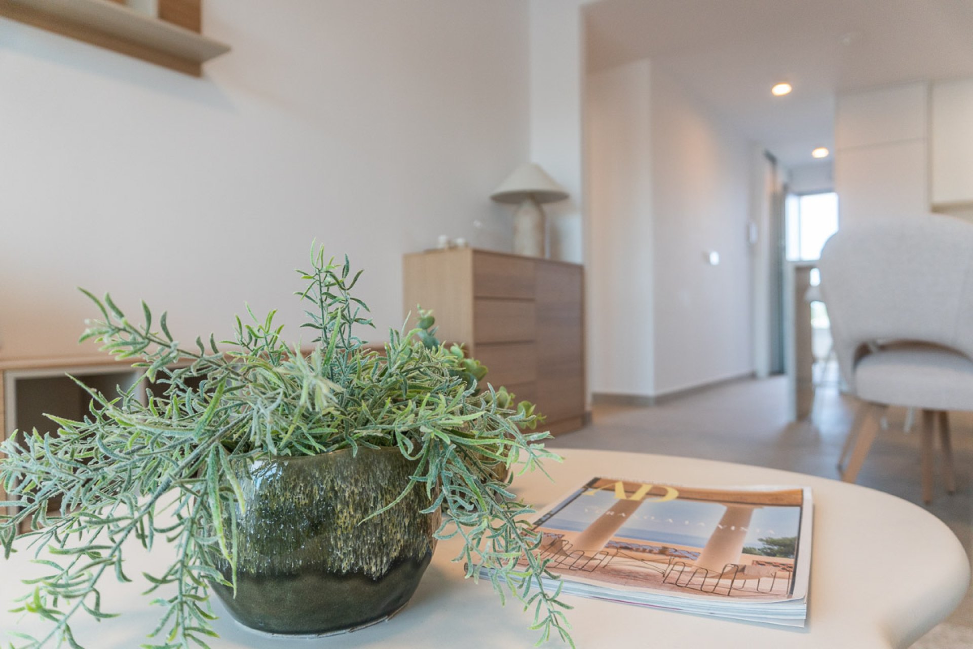 Новое здание - ground-floor - Playa Flamenca