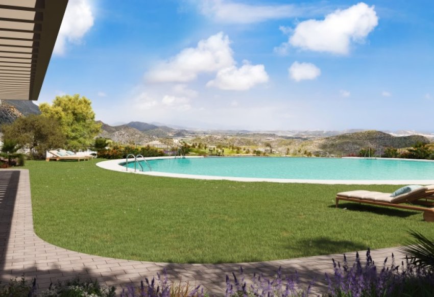 Новое здание - ground-floor - Pulpí