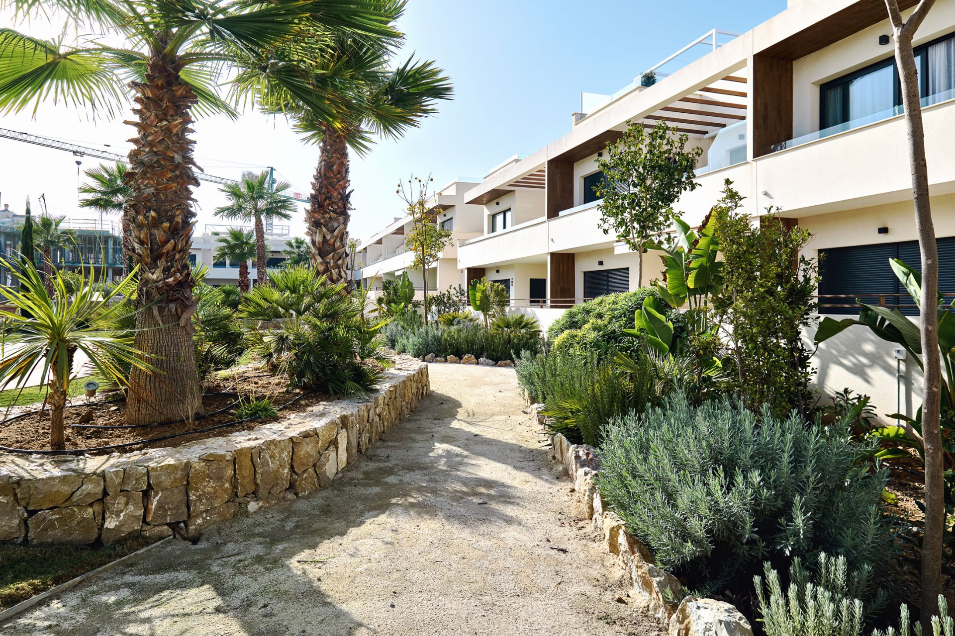 Новое здание - high-bungalow - Torrevieja