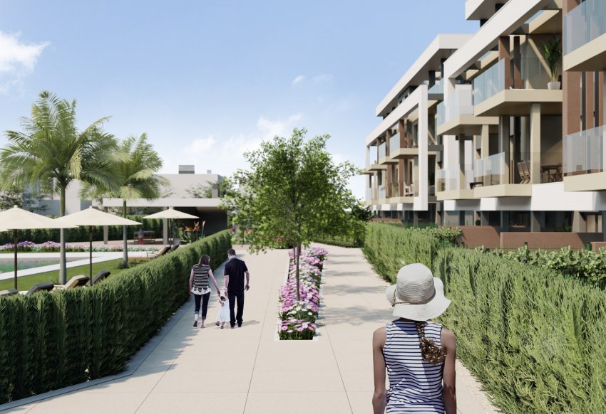 Новое здание - Пентхаус - Santa Rosalía