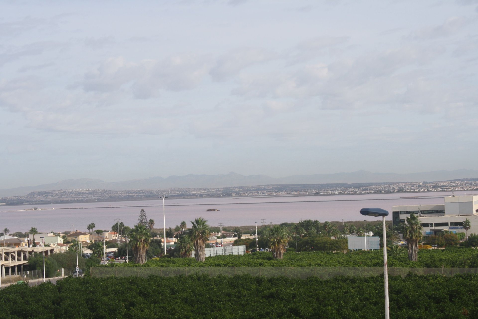 Новое здание - semi-detached - Torrevieja