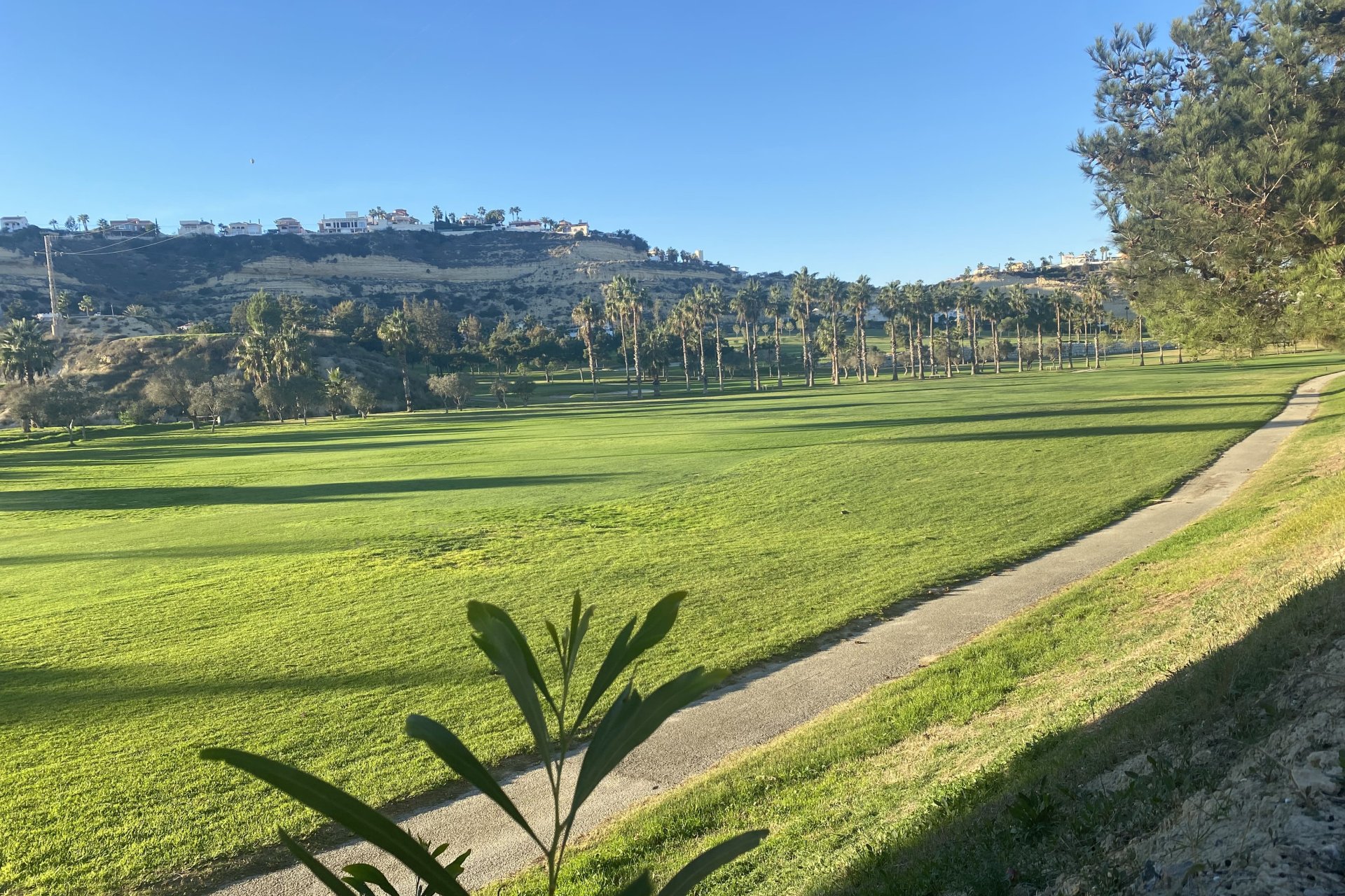 Новое здание - terraced - Ciudad Quesada