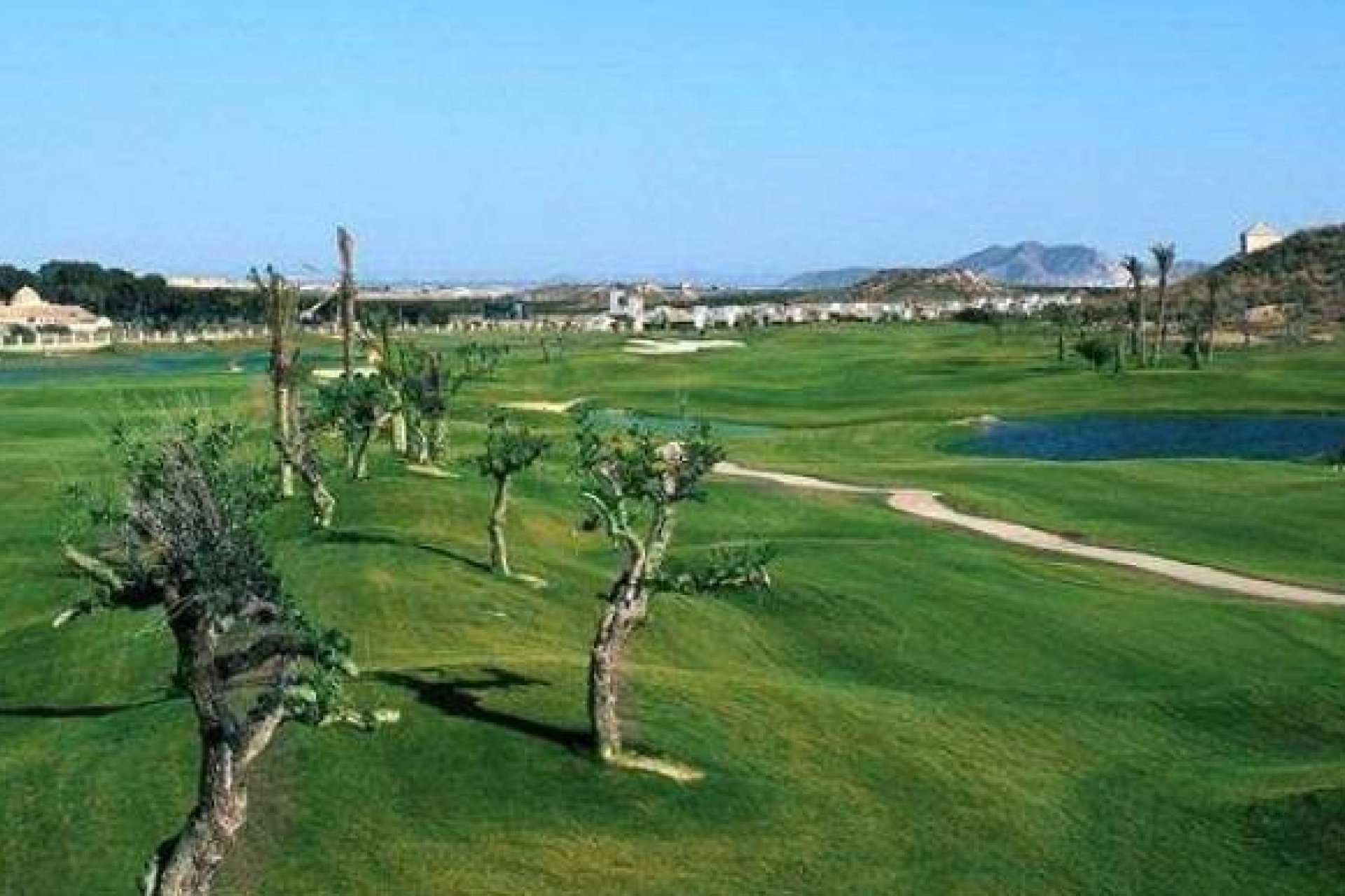 Новое здание - terraced - Peraleja Golf