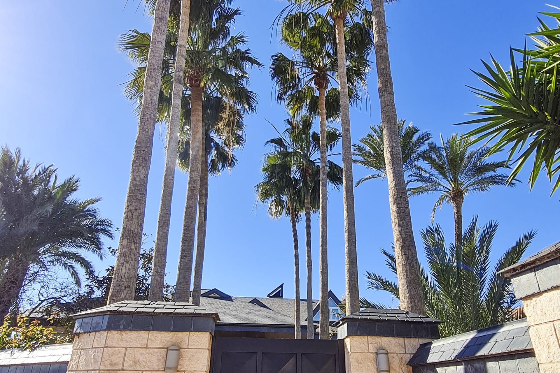 Новое здание - Villa - San Pedro del Pinatar