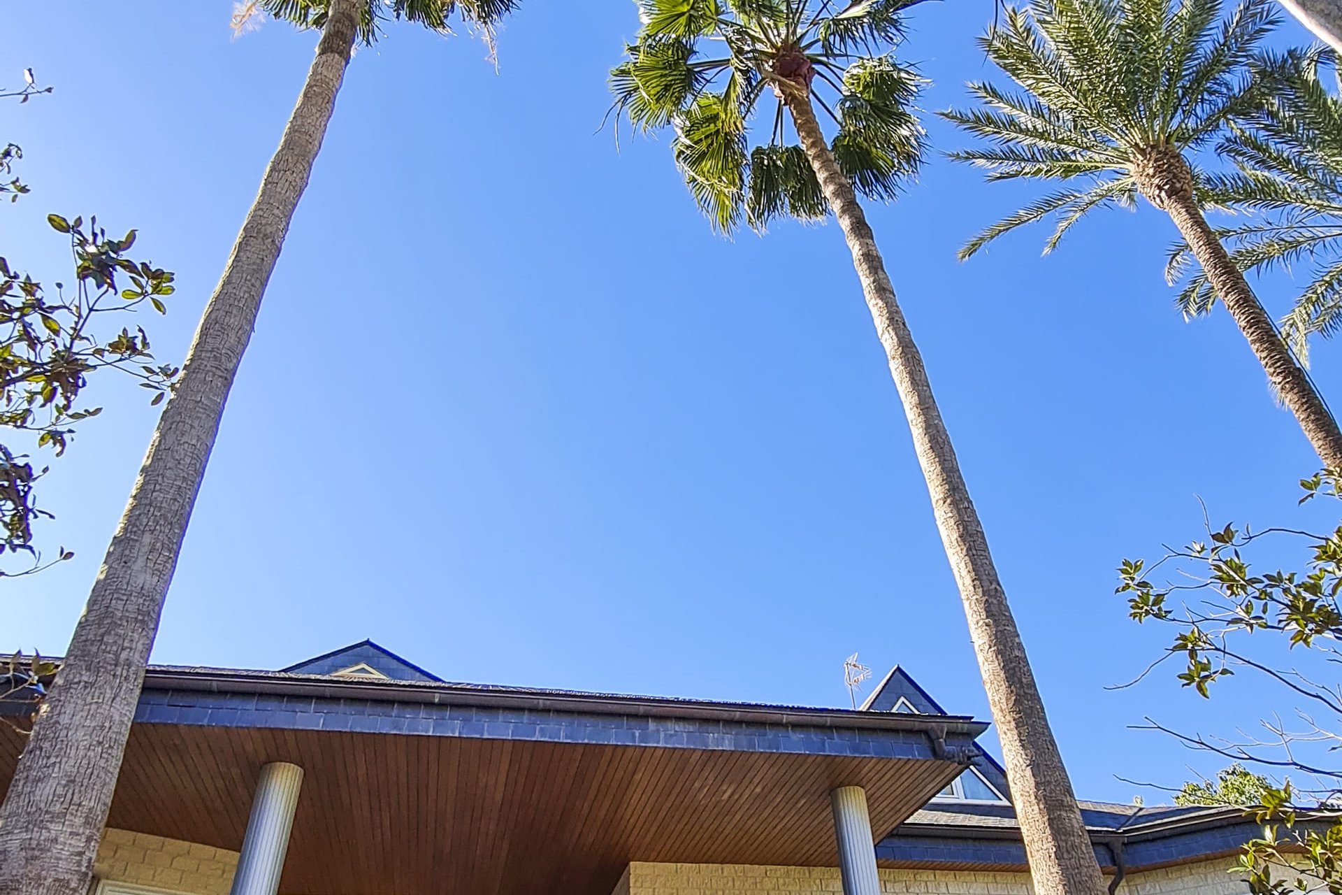 Новое здание - Villa - San Pedro del Pinatar