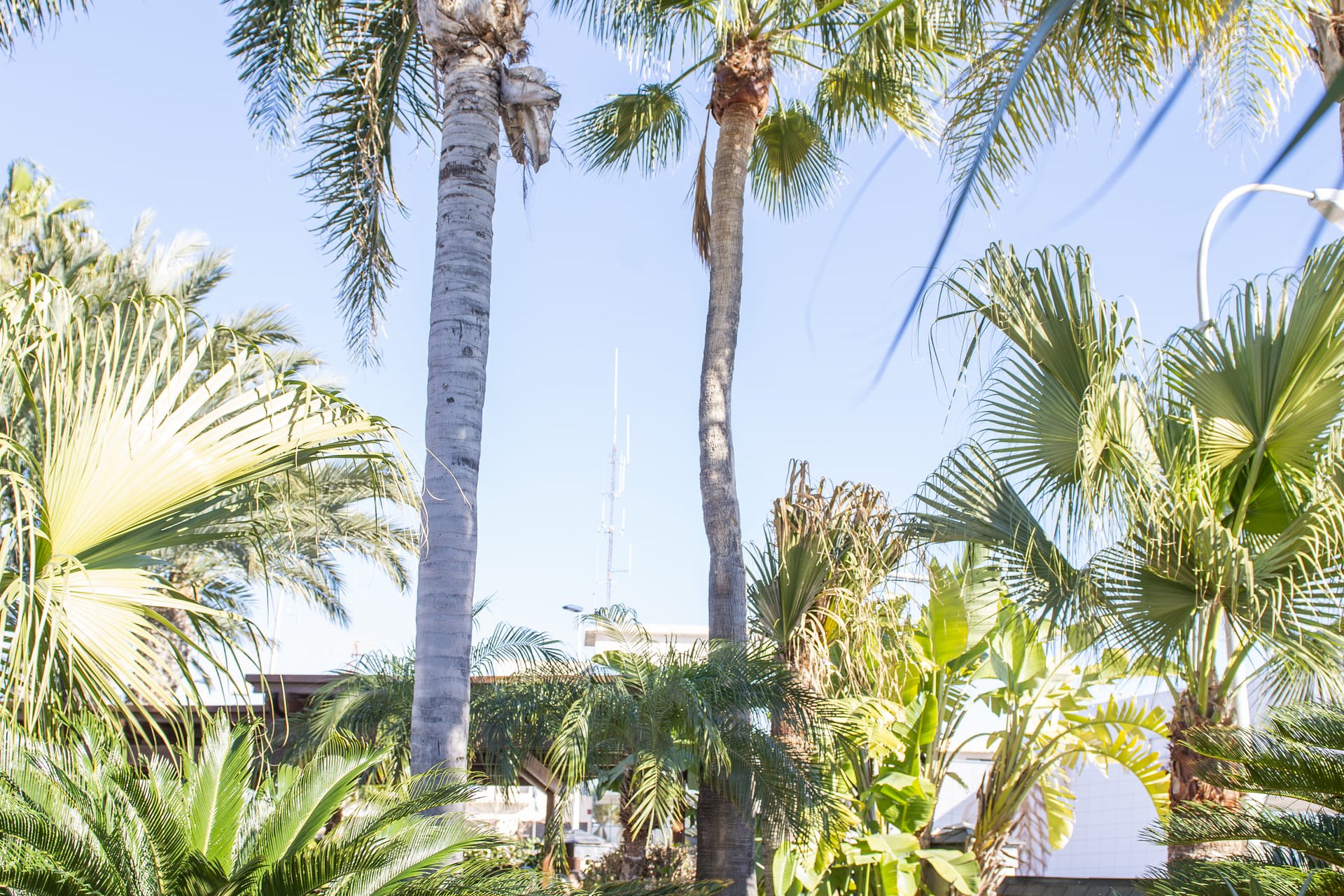 Новое здание - Villa - San Pedro del Pinatar