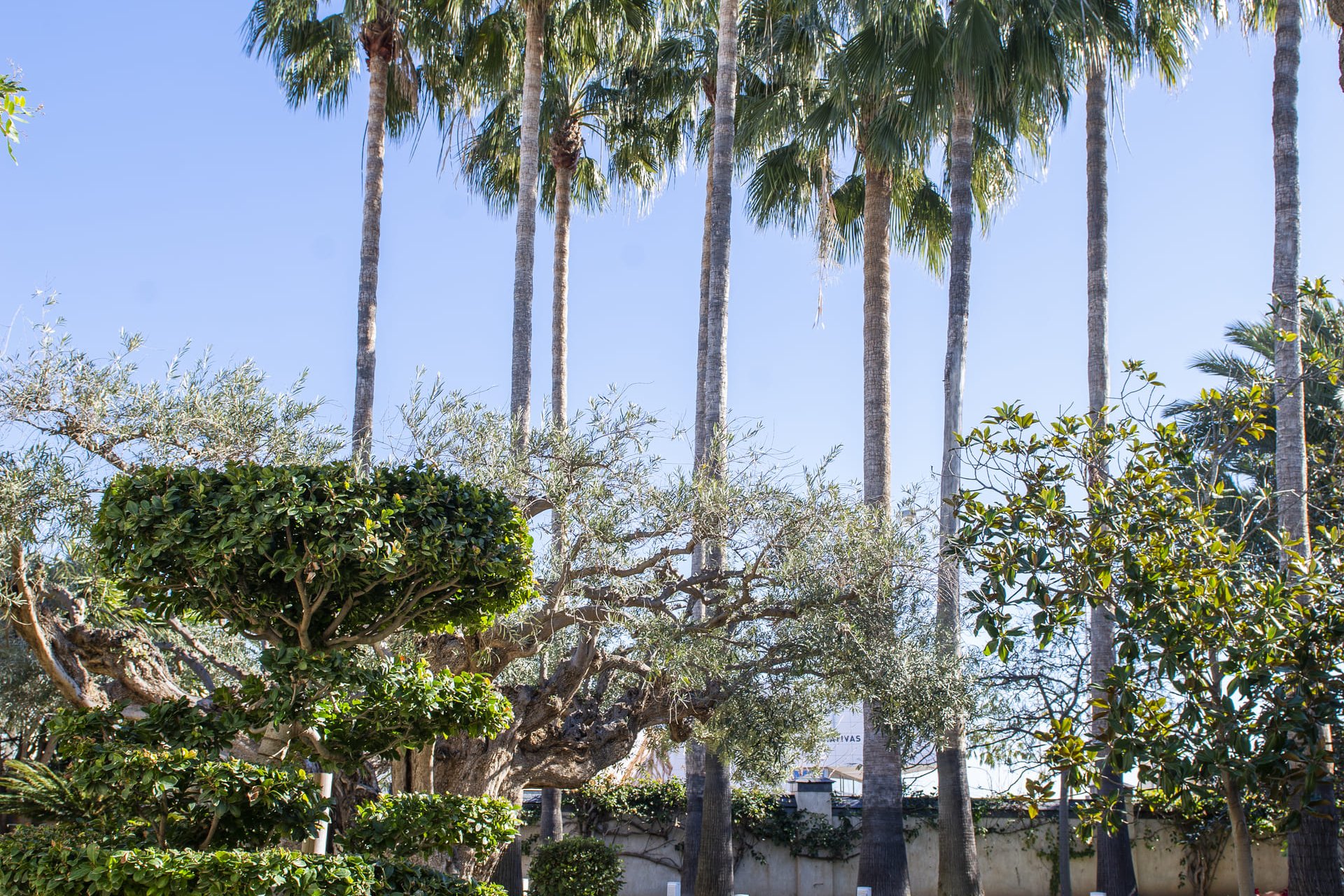 Новое здание - Villa - San Pedro del Pinatar