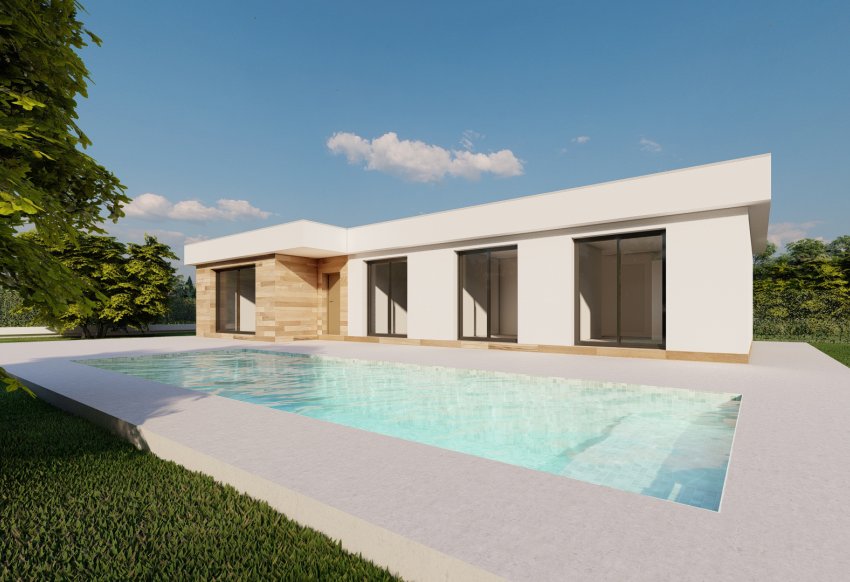 Obra nueva - detached - Calasparra