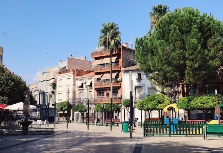Obra nueva - detached - Calasparra