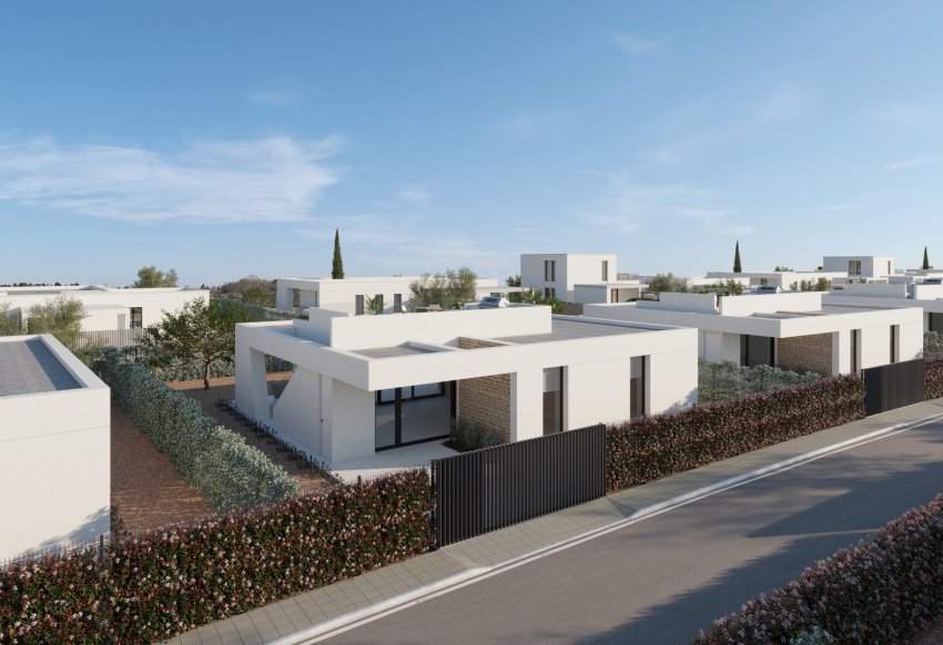 Obra nueva - detached - Fuente Alamo