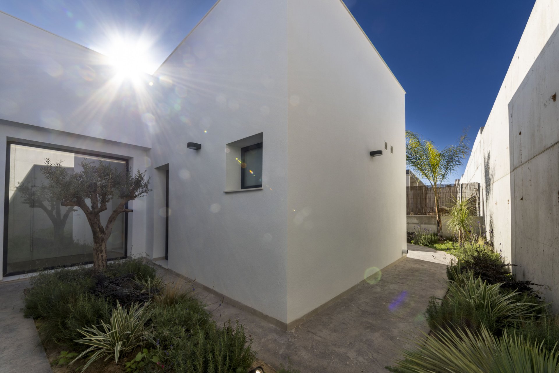 Obra nueva - detached - Murcia