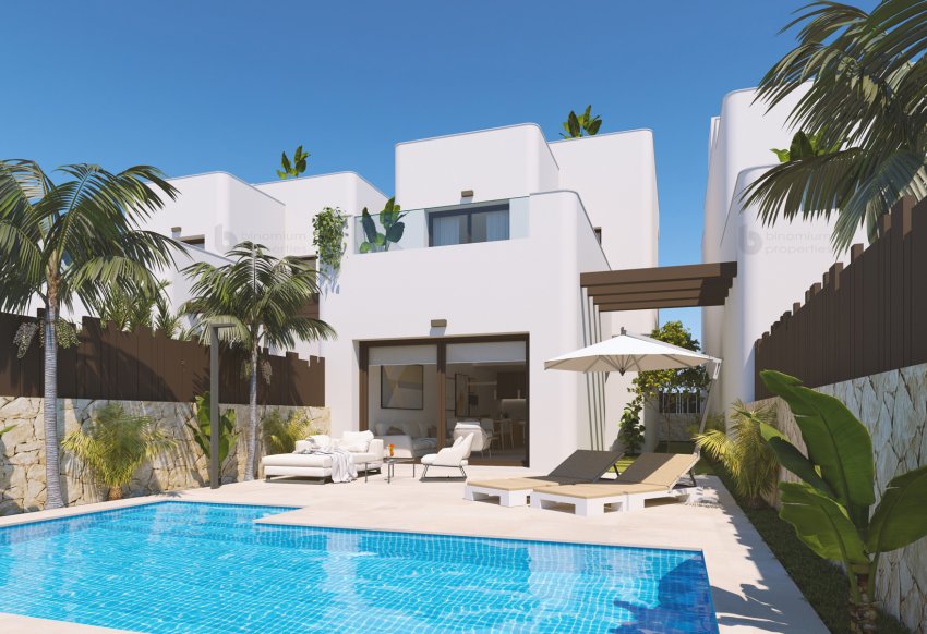 Obra nueva - detached - Pilar de la Horadada