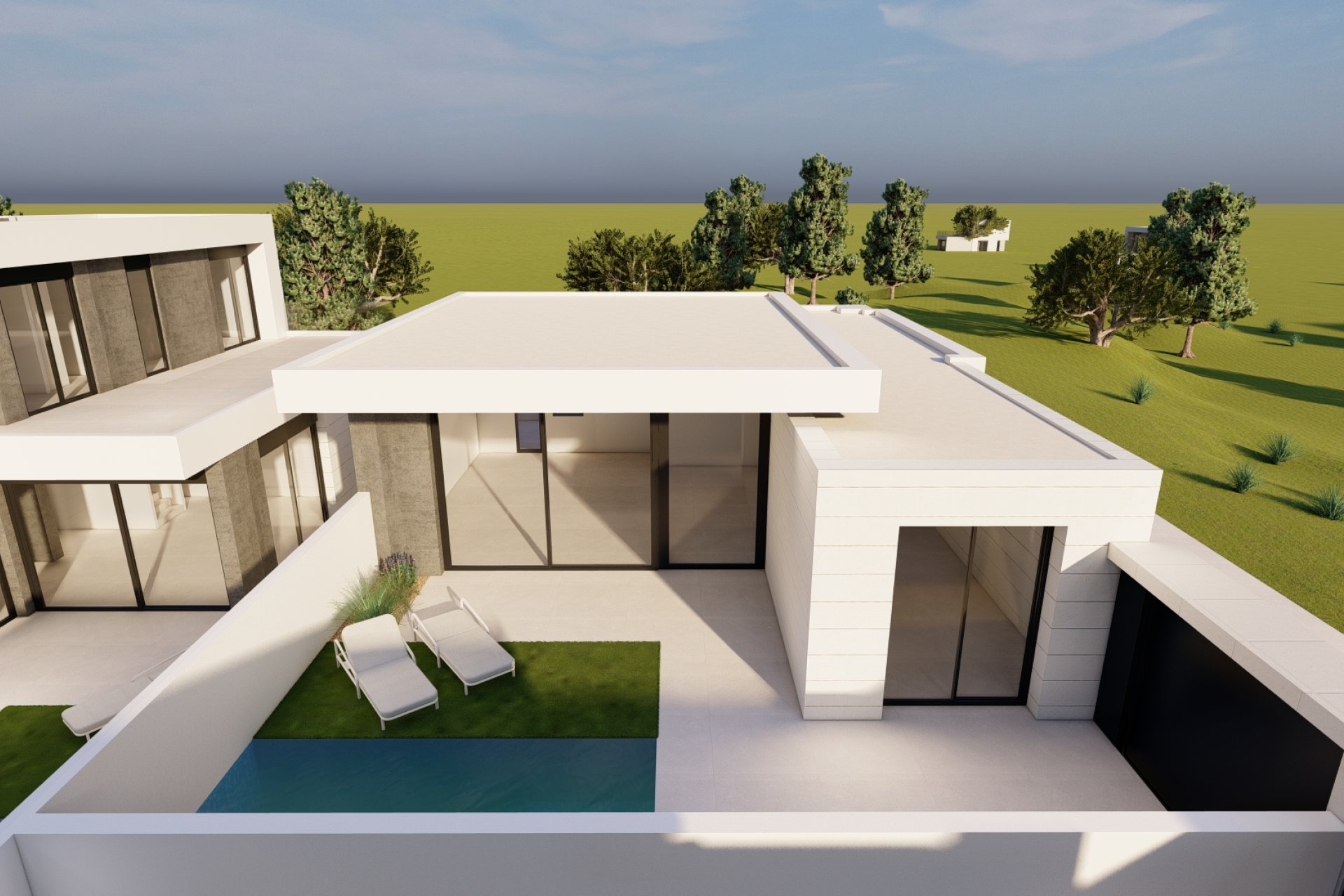 Obra nueva - detached - Pilar de la Horadada