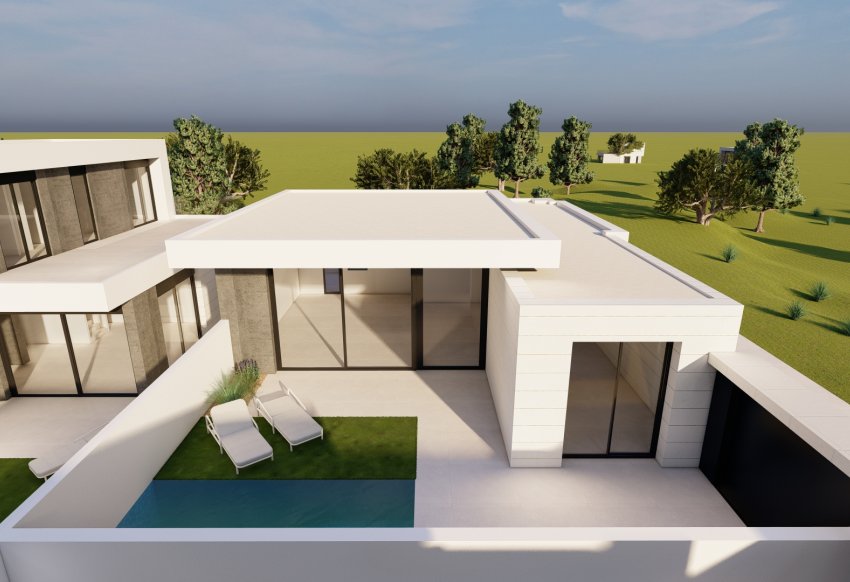 Obra nueva - detached - Pilar de la Horadada