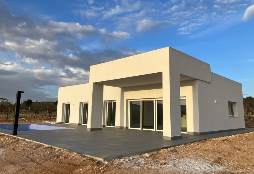 Obra nueva - detached - Pinoso