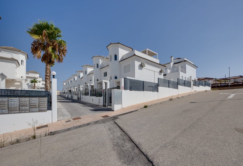 Obra nueva - detached - San Fulgencio