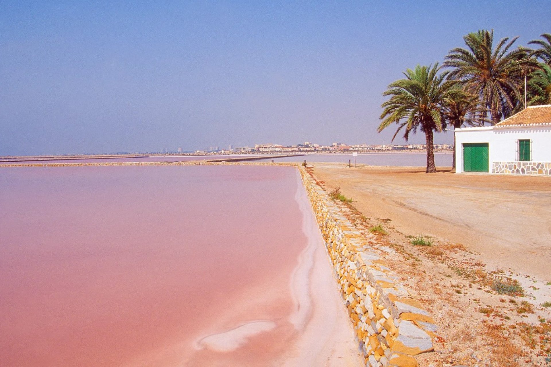 Obra nueva - ground-floor - San Pedro del Pinatar