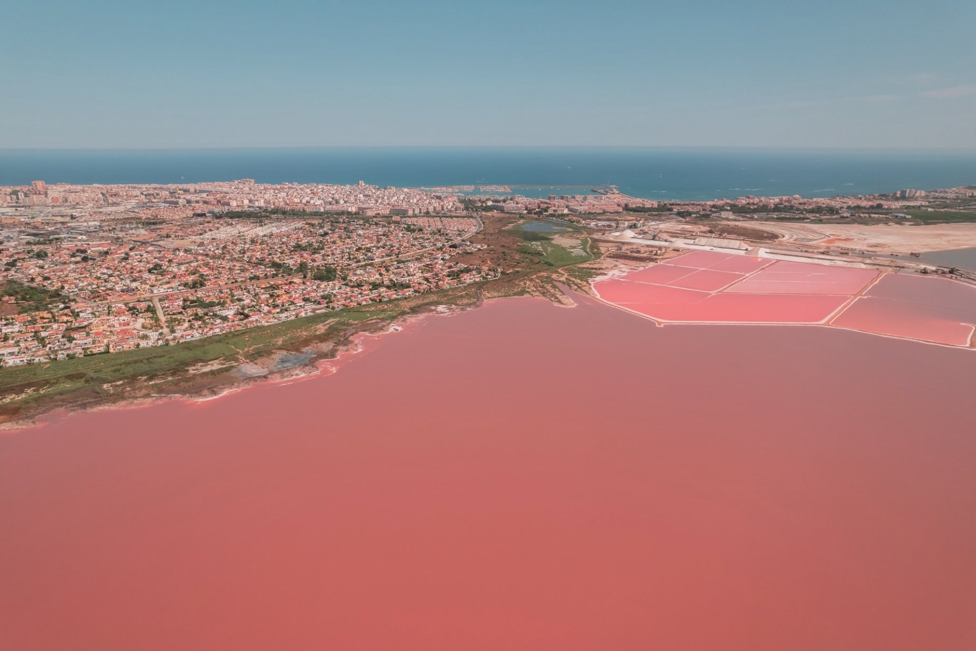 Obra nueva - low-bungalow - Torrevieja