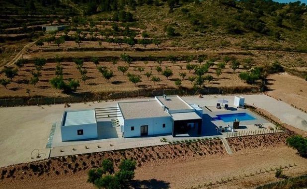New Build - detached - Cañada de la Leña