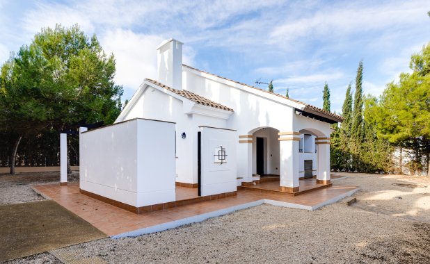 New Build - detached - Fuente Alamo