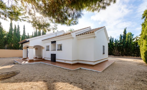 New Build - detached - Fuente Alamo