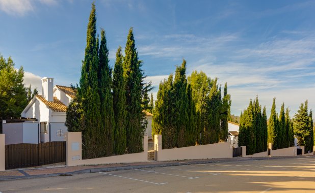 New Build - detached - Fuente Alamo