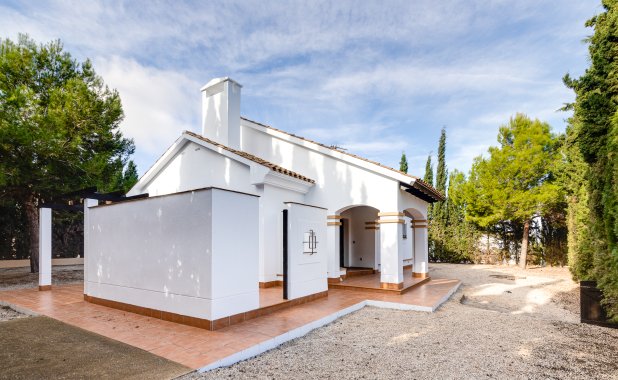 New Build - detached - Fuente Alamo