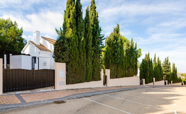 New Build - detached - Fuente Alamo