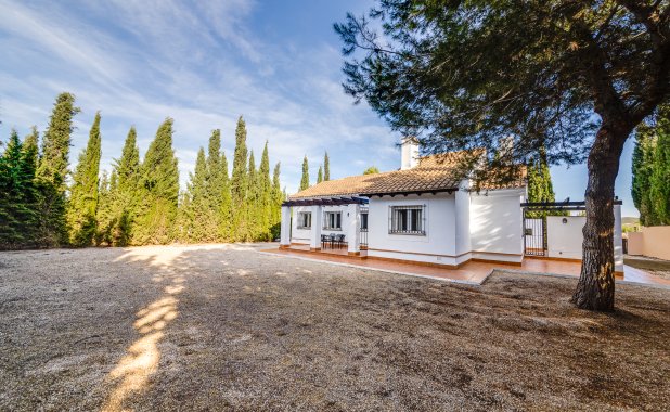 New Build - detached - Fuente Alamo