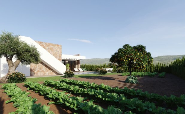 New Build - detached - Murcia