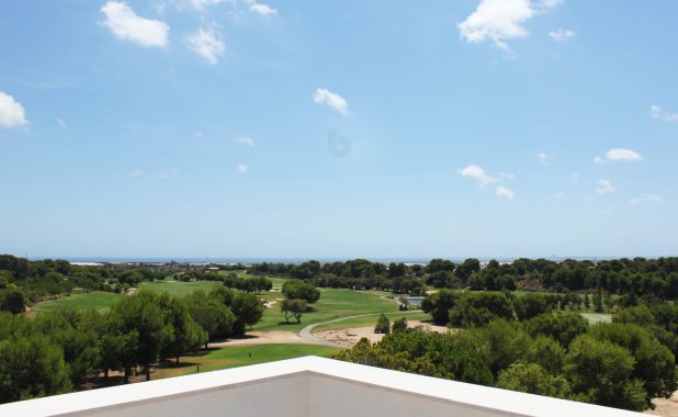 New Build - ground-floor - Pinar de Campoverde