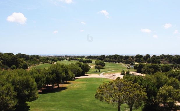 New Build - ground-floor - Pinar de Campoverde