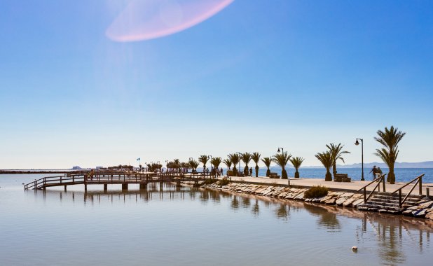 New Build - detached - Pilar de la Horadada