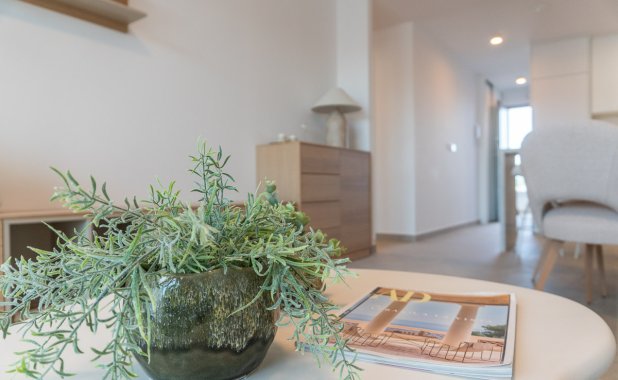 New Build - apartment - Playa Flamenca