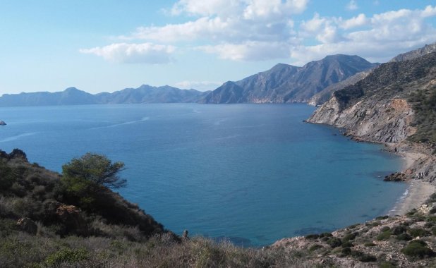 New Build - detached - Torre-Pacheco